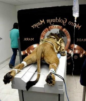 Прикрепленное изображение: rSa3dviaGN8.jpg